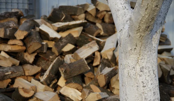 Gehäckseltes Holz stapelweise im Garten — Stockfoto