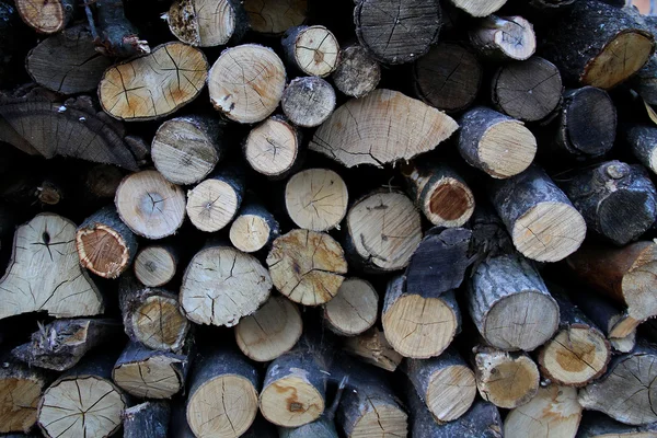 Düzenlenen meşe yığın doku arka planda kaydeder 