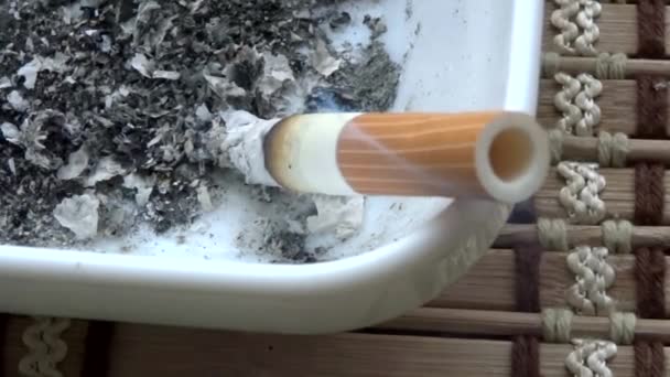 Smoking cigarette in ashtray closeup — Stock Video