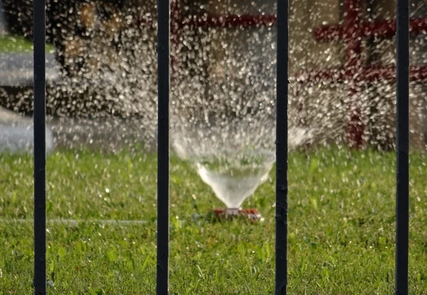 Vatten sprutar från vattning sprinkler på gräsmattan stock bild — Stockfoto