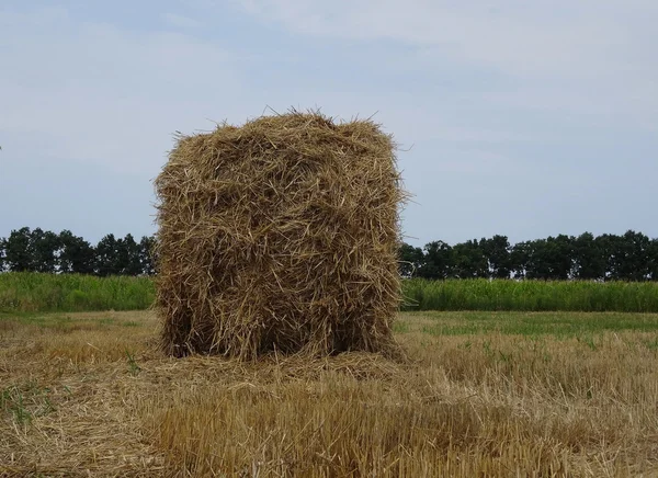 Haystack на сельском хозяйстве скосил поле — стоковое фото