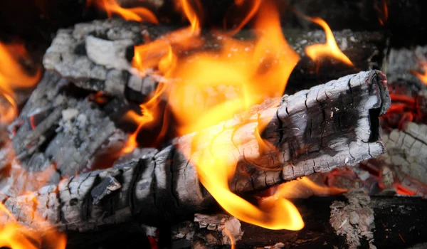 Fire Dances on Burning Logs Close Up Foto stock — Fotografia de Stock