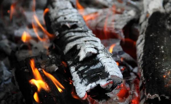 Elszenesedett fa tuskók-ban láng tűz részletes stock kép — Stock Fotó