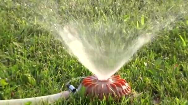 Sistema de irrigação de cuidado de gramado em obras zoom in e zoom out vídeo — Vídeo de Stock