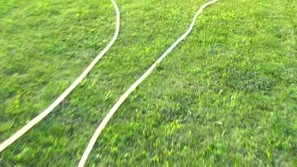 Arroseur de pelouse arrosage gazon vert herbe royalty gratuit stock vidéo — Video