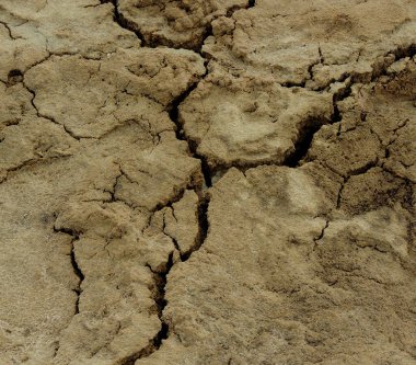 Çatlak desenli kavrulmuş kum arkaplanı