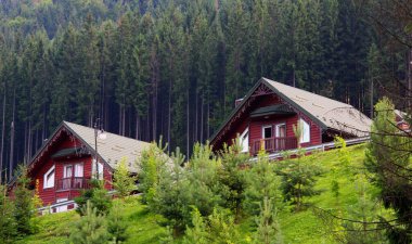 Tepedeki Ahşap Konuk Kulübeleri