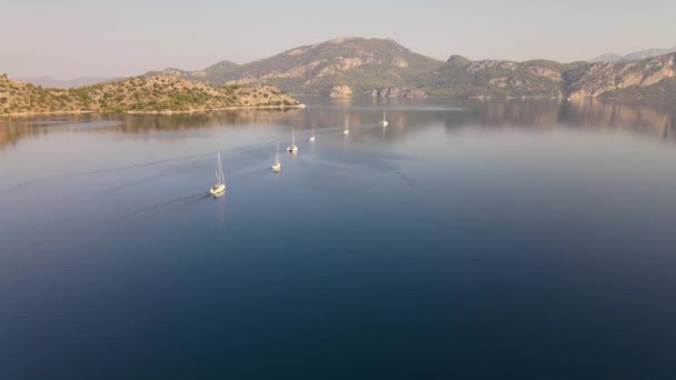 島々の間の穏やかな水の上を漂流する帆船隊 — ストック動画