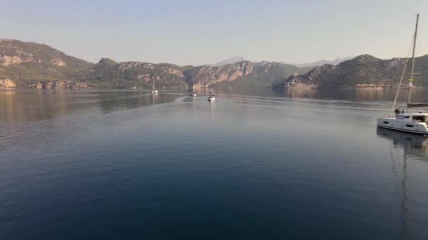 Флот Барбекю Плаває Протоці Впорядкований Рядку Відео — стокове відео