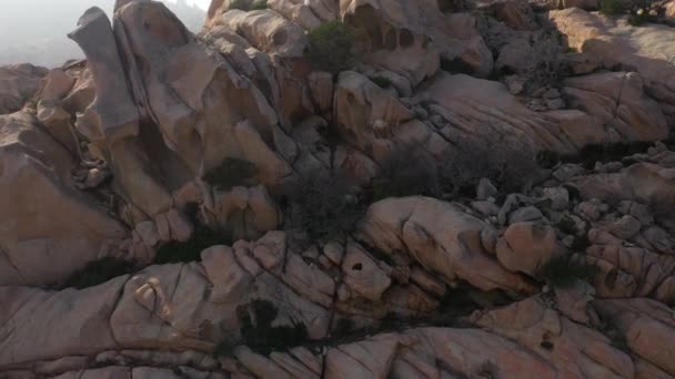 Dzikie Kozy Capra Biegające Klifach Aerial Video — Wideo stockowe