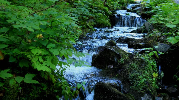 Каскад Малых Водопадов Горном Ручье — стоковое фото