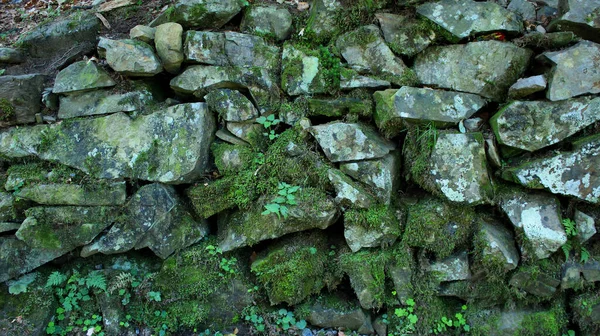 Mossy Stones Yaptığı Antik Taş Duvar — Stok fotoğraf