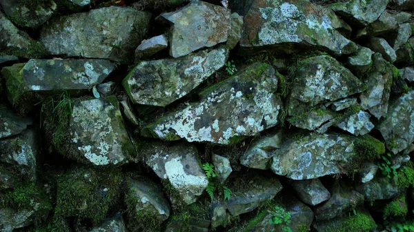 Yosun Taşlarından Yapılan Eski Duvar — Stok fotoğraf