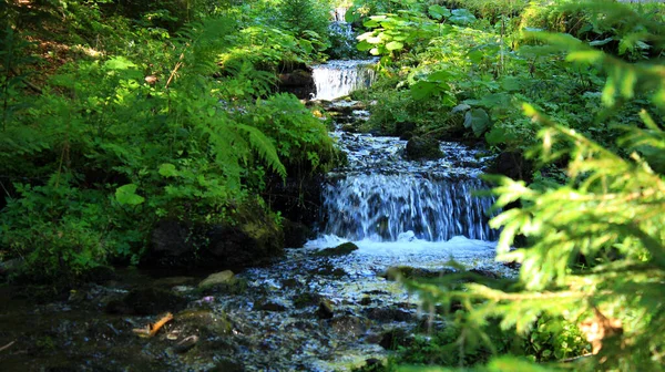 Waterfalls Small Creek Sunny Day — Stock Photo, Image
