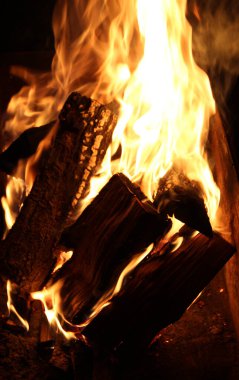 Orman karanlıkta ateşte yanıyor.