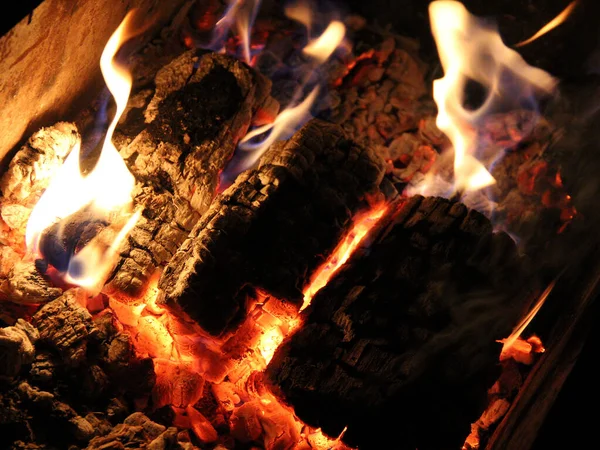 Fire Grows Oak Logs Bonfire — Stock fotografie