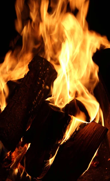 Oak Woods Bonfire Macro Shot — Stock fotografie