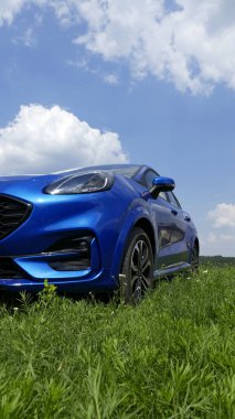 Yeşil Çimenli Mavi Araba Alt Görüş Alanı