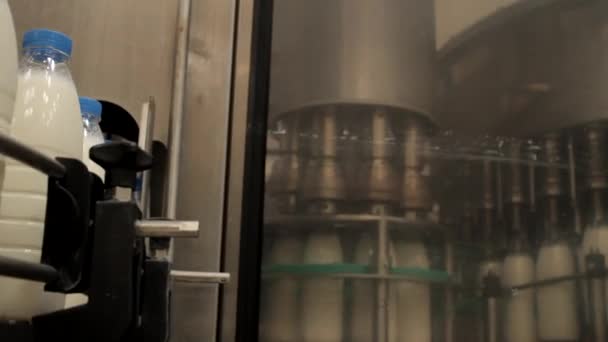 Сырое молоко в бутылках на конвейере на молочном заводе — стоковое видео