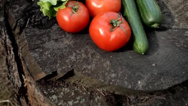 Juicy vegetables on stump in forest at picnic party — Stock Video