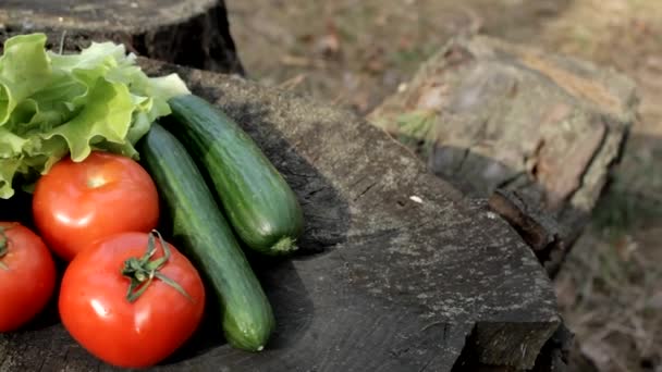 Juicy vegetables on stump in forest at picnic party — Stock Video