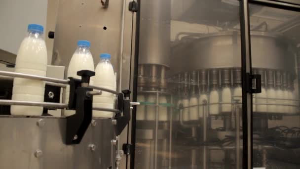 Raw milk bottled on conveyor at dairy production factory — Stock Video