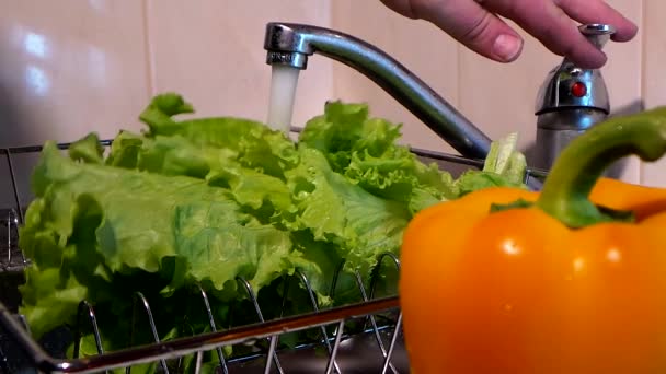 Šťavnatá zelenina mytí v dřezu — Stock video
