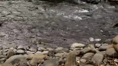 Dağ nehir akan su