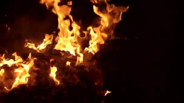 Embers in flame at the burning waste of  pulp industry slowmotion — Stock Video