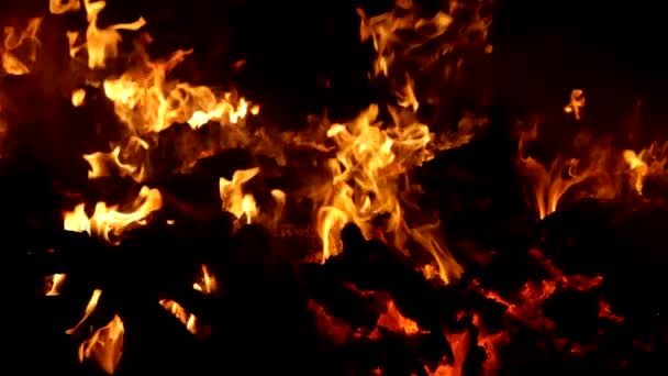 Embers en llamas en el desperdicio ardiente de la industria de la pulpa slow motion — Vídeo de stock