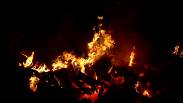 Uhlíky v plameni na spalování odpadu z buničiny průmyslu slowmotion — Stock video