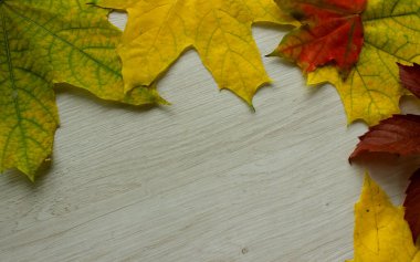 Mevsimsel Arkaplan Farklı Dağılmış Çok Renkli Düşmüş Yapraklar Açık Ahşap Dokuda Boş Alan Başlıkları İçin