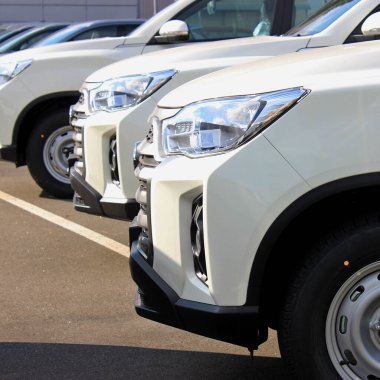 Identical pickup trucks are lined up on the asphalt at a dealership