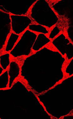 Kara Taşlar ve Kırmızı Boşluklar 'ın pürüzlü yüzeyi