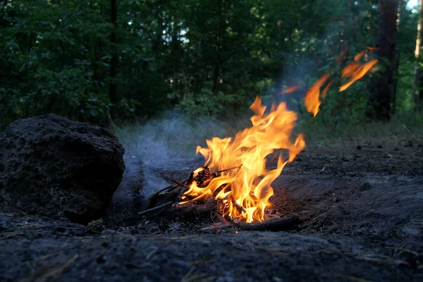 Пикник сгорел в костре после вечеринки — стоковое фото