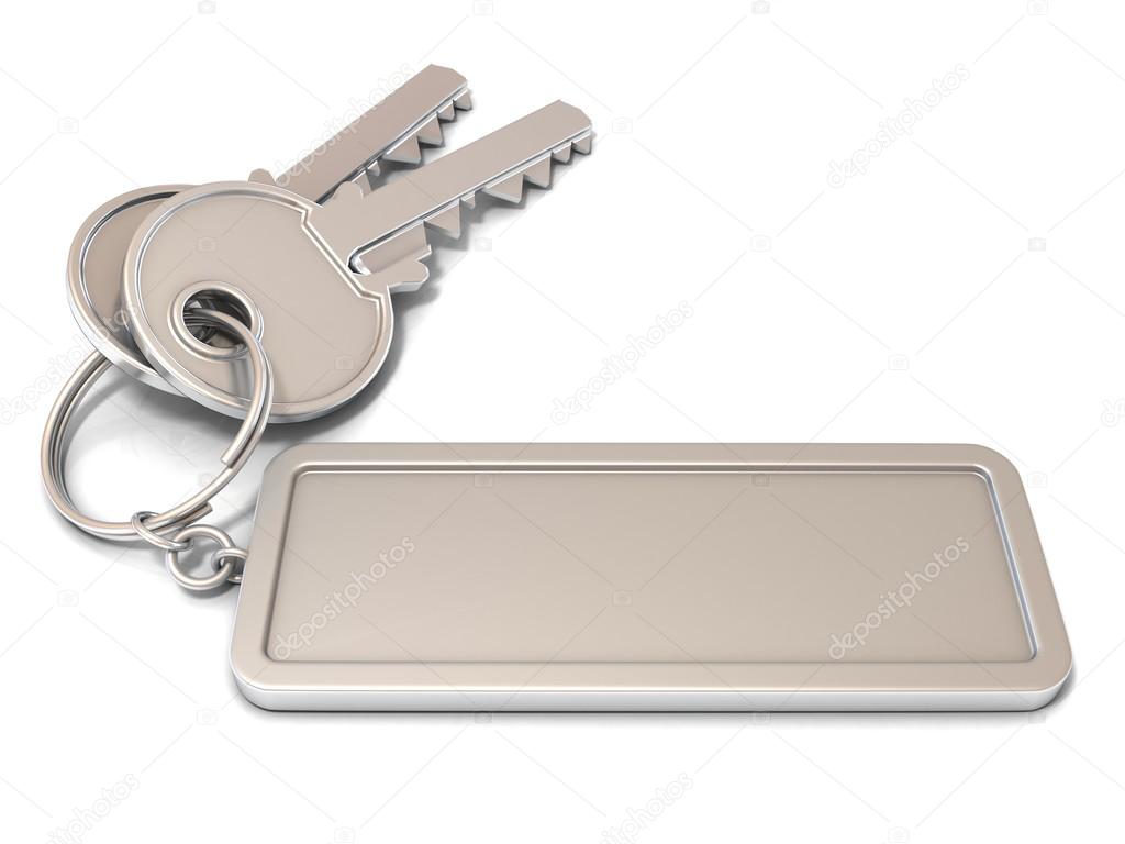 Two door keys and rectangular blank label on ring. 3D illustration, isolated on white background