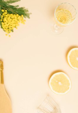 Sarı mimoza ve yeşil yapraklı yaratıcı konsept, iki taze limon ve iki şampanya bardağı, güneşli arka planda bir şişe şampanya. Minimum düzlük. en küçük arkaplan