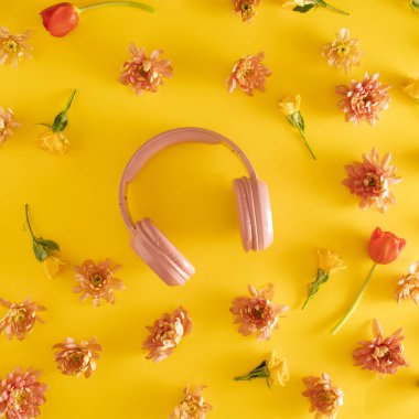 Taze kırmızı lalelerle çevrili pembe kulaklıklar ve sarı arka planda sarı güller. Minimum düzlük.