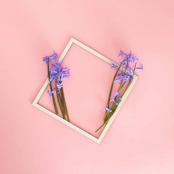 beyaz çerçeveli çiçekler taze menekşe sümbülü pastel pembe arka planda. Copyspace ile bahar yaz yaratıcı arkaplan fikri