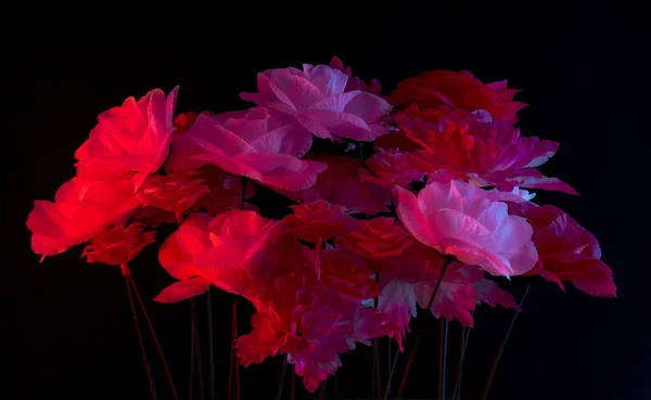 Decoración Diseño Color Fluorescente Creativo Hecho Rosess Fresco Piso Poner —  Fotos de Stock
