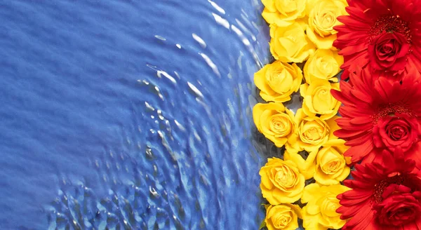 Rosas Amarelas Frescas Flores Vermelhas Fundo Azul Com Ondas Água — Fotografia de Stock