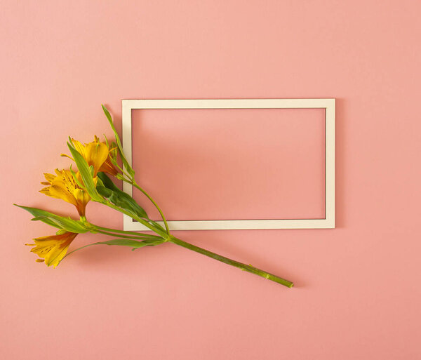 свежие желтые цветы с зелеными листьями и рамкой на розовом фоне с пространством для копирования. минимальное декоративное искусство роскоши фона. минимальная квартира