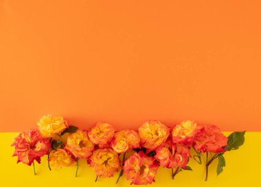 Taze turuncu ve sarı renkli güller yaz sarısı ve turuncu arka planda. Soyut sanat. kopyalama alanı ile yaratıcı dekorasyon küçük arkaplan fikri