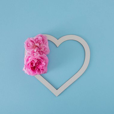 Taze pembe güller ve ocak şeklindeki çerçeve. Pastel mavi arka planda kopya alanı var. yaratıcı yaz geçmişi. en düşük düzlük.