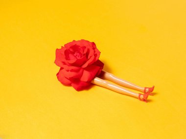 Taze kırmızı gül ve kadın bacakları ve sarı yaz arka planında ayakkabılar. Soyut sanat. Yaratıcı dekorasyon fikri. Modern, minimal arka plan. en düşük düzlük.