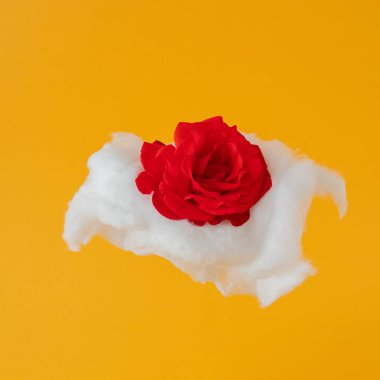 Bulutta taze kırmızı elma gülü. Sarı yaz arkaplanı. Tropik soyut sanat. asgari yaratıcı dekor arkaplanı.