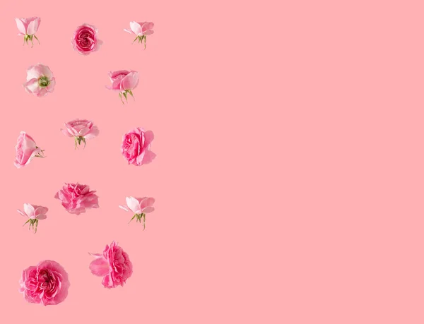 Pastel pembe arka planda taze pembe güller. Soyut sanat. kopyalama alanı ile yaratıcı dekorasyon küçük arkaplan fikri