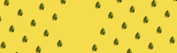 Padrão Feito Com Folha Palma Exótica Fresca Fundo Amarelo Selva — Fotografia de Stock