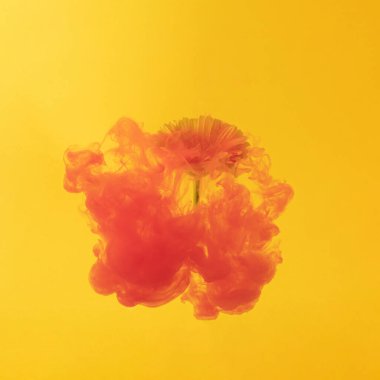 Soyut kırmızı sıvı boya ve güneşli yaz mevsiminde parlak sarı çiçek. Fotokopi alanı ile akışkan yaratıcı kompozisyon. Asgari doğal lüks soyut sanat