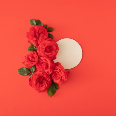 Kırmızı arka planda çerçevesi olan taze kırmızı güller. Zarif yaz çiçeği arkaplanı. Kopyalama alanı olan en küçük düz alan